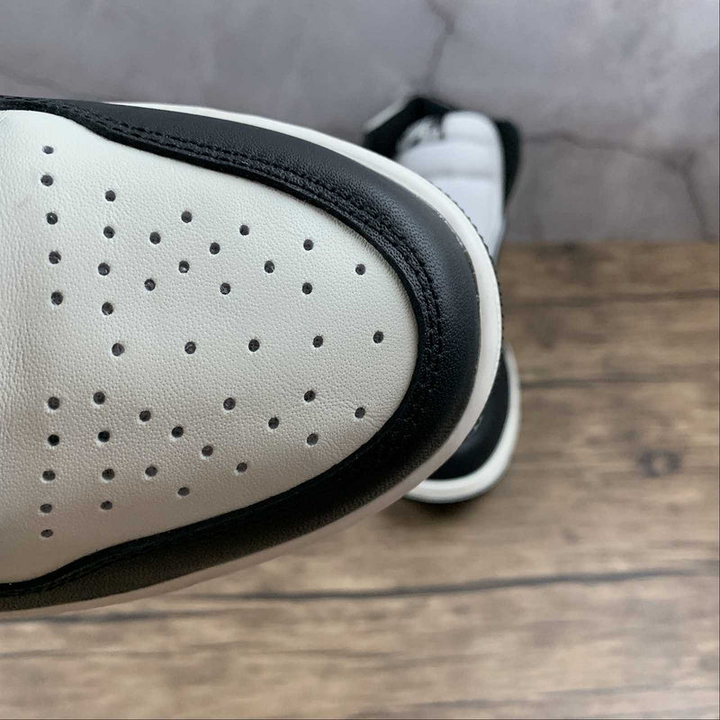 AJ1 High